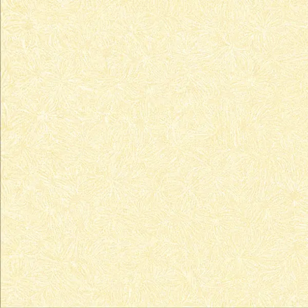 Porcelain Floor Tile 600x600mm