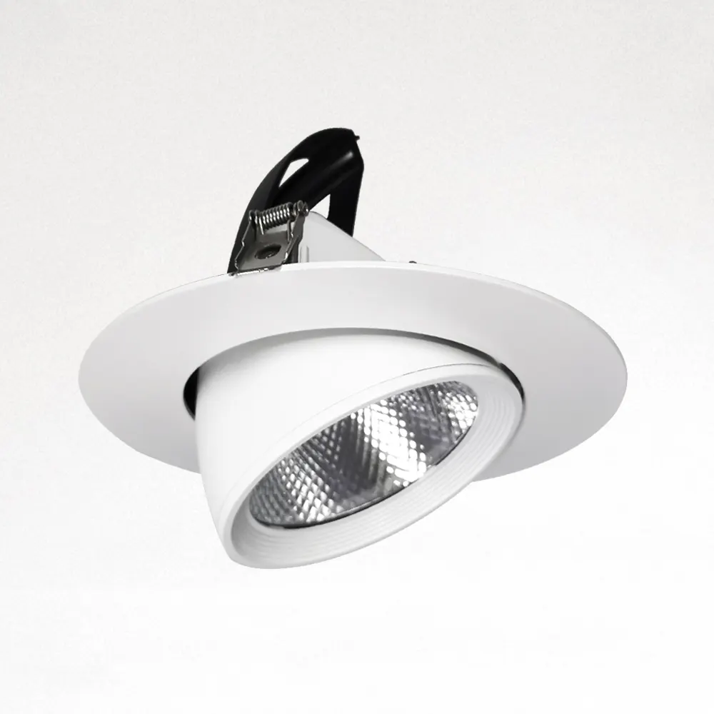 Recessed Aluminum LED Downlight 20/30W IP54 90mm