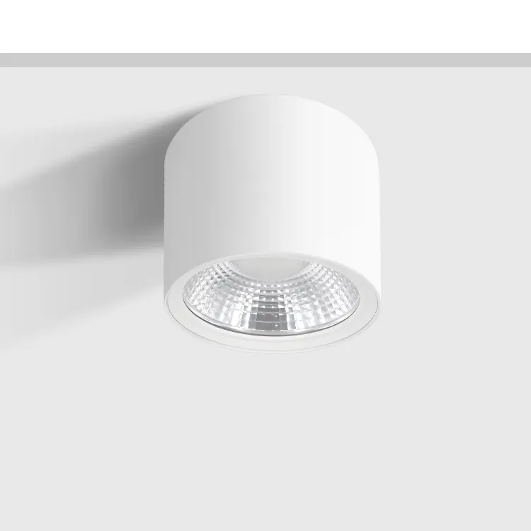 Surface-Mounted Aluminum LED Downlight 15-50W IP65