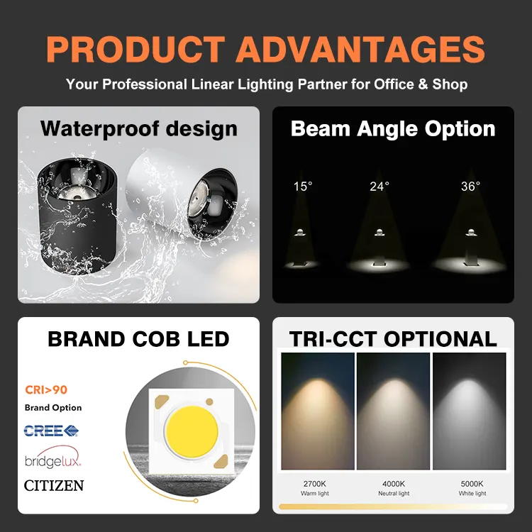 Dimmable Surface-Mounted Aluminum LED Downlight 10-90W product sample
