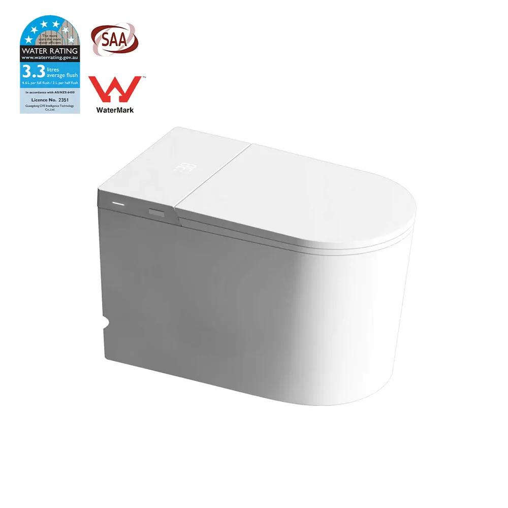Smart Ceramic Toilet With Electronic Controls