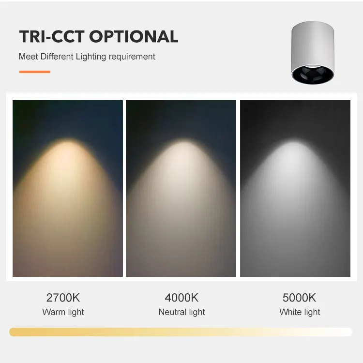 Surface-Mounted Aluminum LED Downlight 10-100W