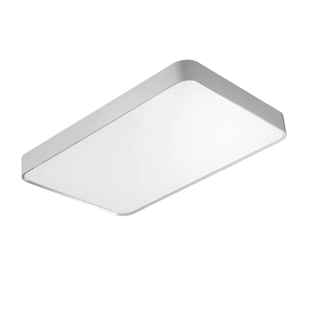 Surface-Mounted Aluminum LED Ceiling Light 24-100W