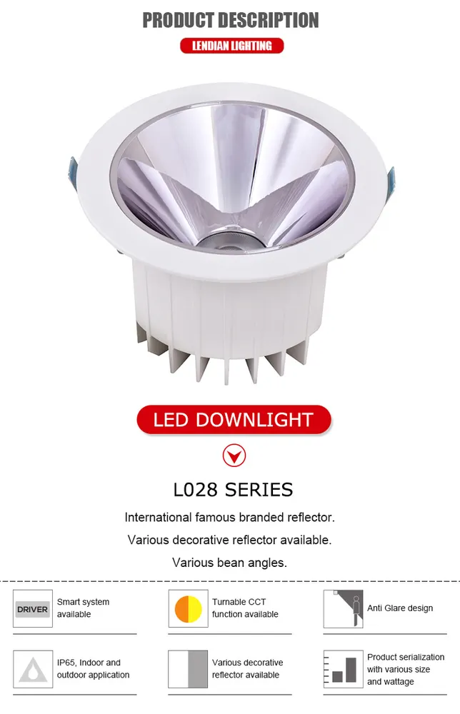 Adjustable Recessed Aluminum LED Downlight White/Black/Gold 10-40W IP65