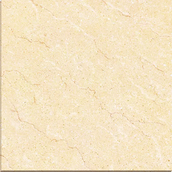 Porcelain Floor Tile 800x800mm