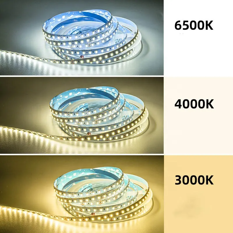 RGB SMD2835 LED Strip Light 12V/24V IP65 2835