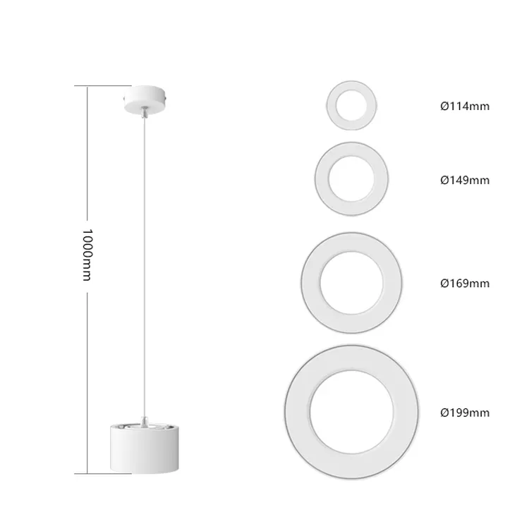 Aluminum LED Pendant Light 10-30W