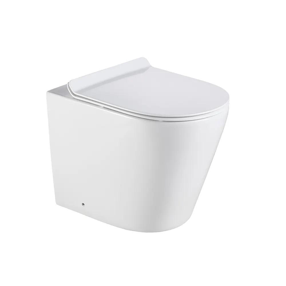 Two-Piece Dual-Flush Ceramic Toilet