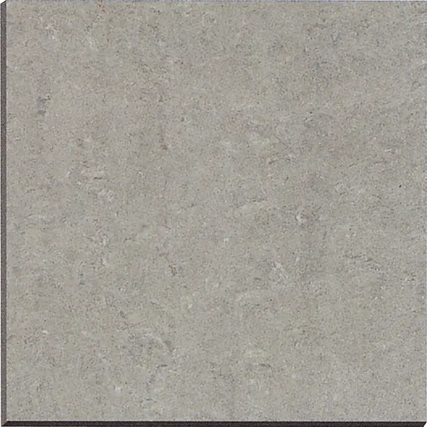 Granite-Look Gray Porcelain Floor Tile 60x60cm