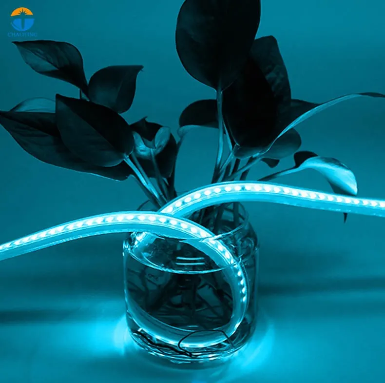 Flexible LED Strip Light Red/Blue/Green IP65 SMD2835