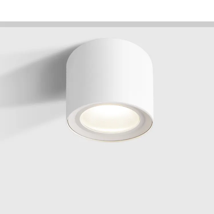 Surface-Mounted Aluminum LED Downlight 15-50W IP65