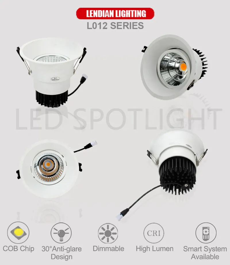 Adjustable Recessed Aluminum COB LED Downlight Black/White 6-30W