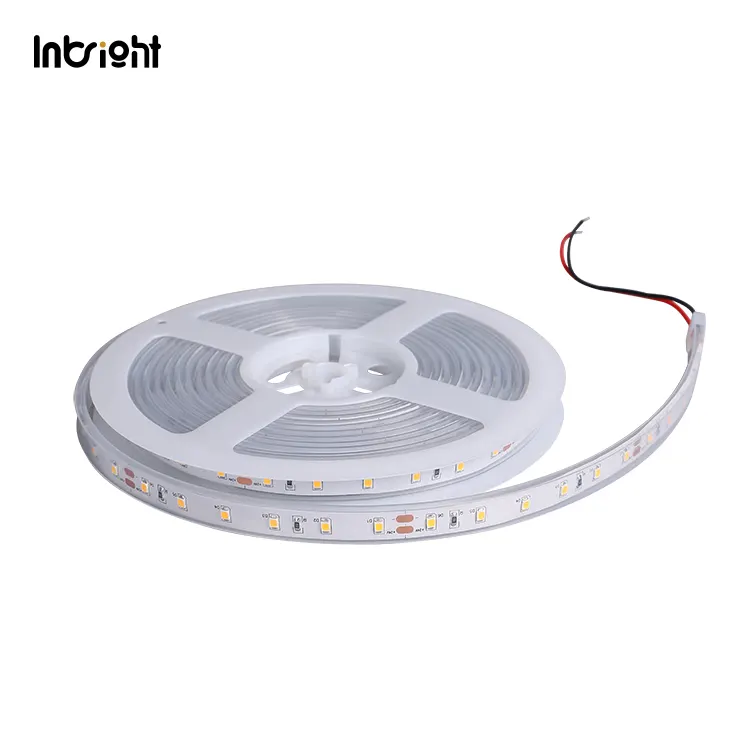 LED Strip Light 12/24V IP20/IP65