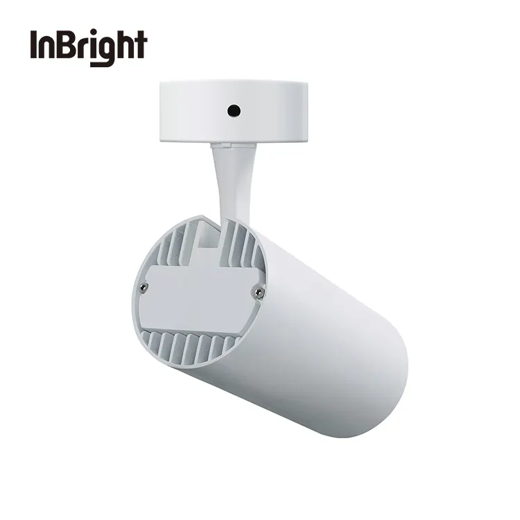 Dimmable DALI Surface-Mounted COB LED Downlight 12-36W