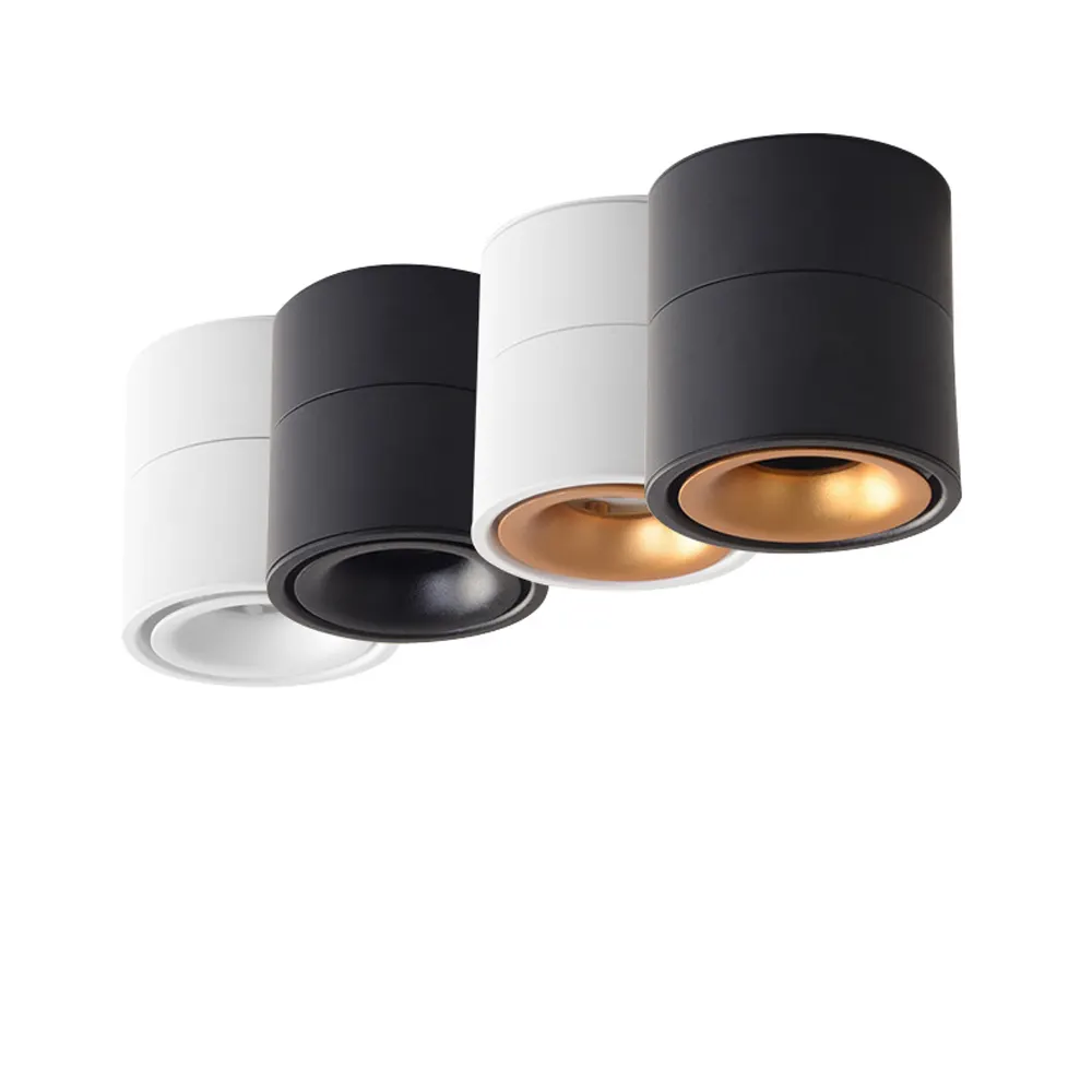 Rotatable Surface-Mounted Aluminum LED Downlight 10-15W 6500K