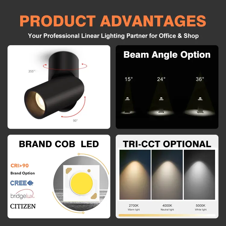 Adjustable Dimmable Surface-Mounted LED Downlight 12/18W product sample
