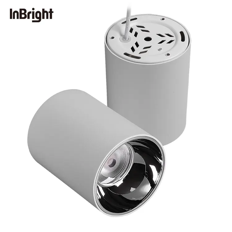 Surface-Mounted Aluminum COB LED Downlight 15W IP65