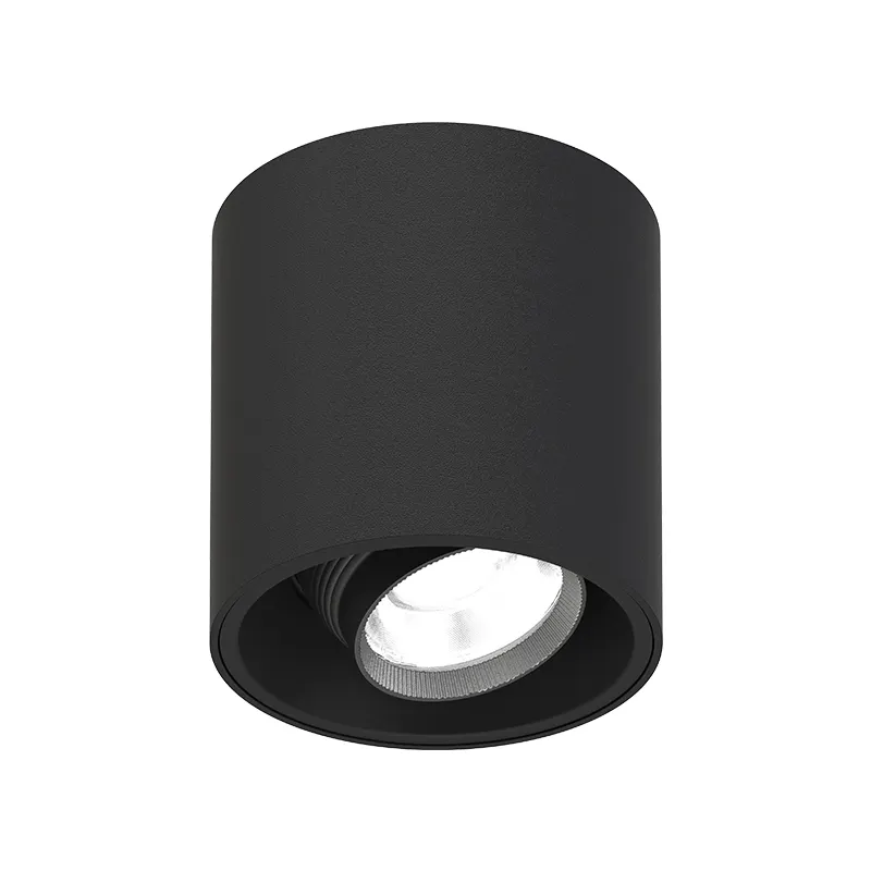 Adjustable Surface-Mounted Aluminum LED Downlight 8-20W IP65