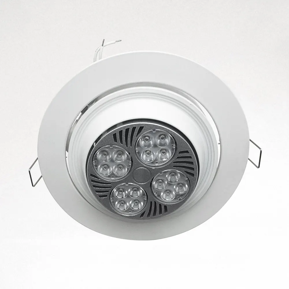 Adjustable Recessed Downlight Housing PAR30