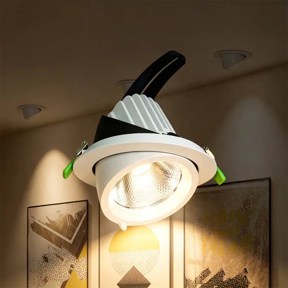 Adjustable Recessed Aluminum LED Downlight