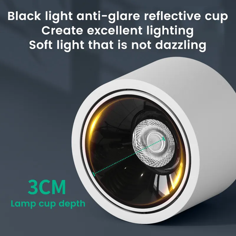 Adjustable Surface-Mounted Aluminum LED Downlight 10W
