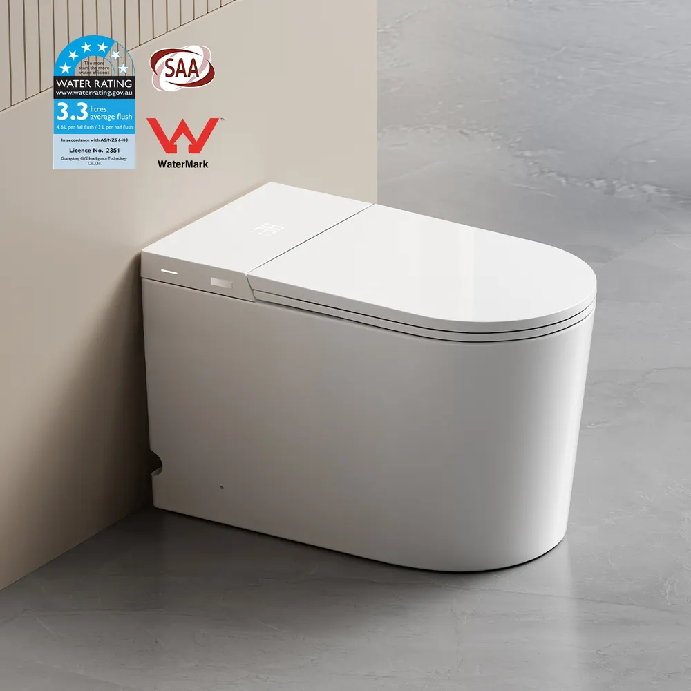 Smart Ceramic Toilet With Electronic Controls