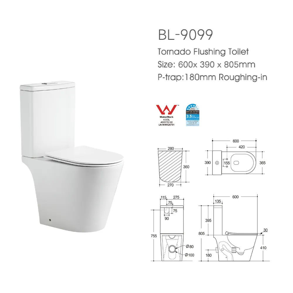 Dual-Flush Two-Piece Ceramic Toilet