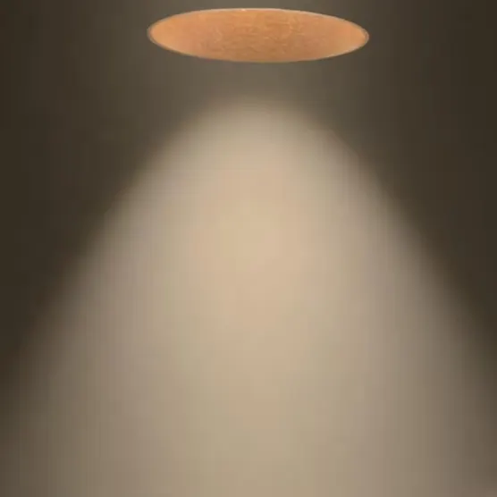 Adjustable Trimless Recessed LED Downlight 9-40W IP44 product sample