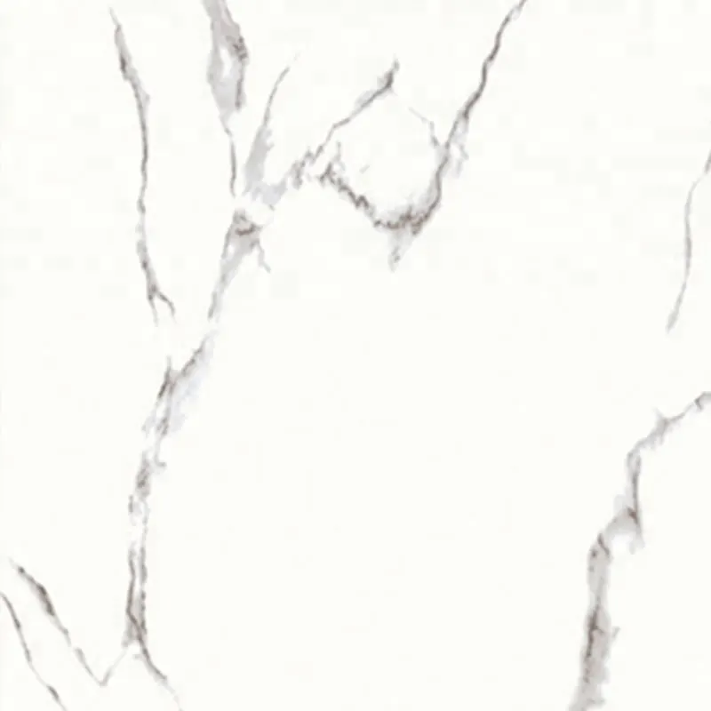 Porcelain Wall And Floor Tile 600x600mm 9mm Thick