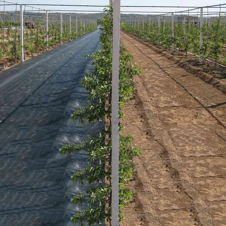 HDPE Geomembrane Pond Liner 0.5-2m