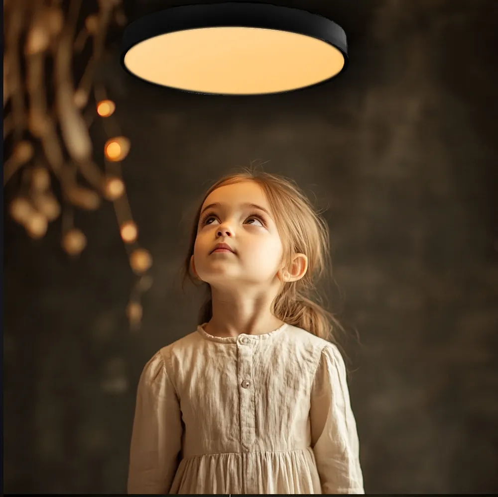 Smart Round Aluminum LED Ceiling Light 24-100W product sample