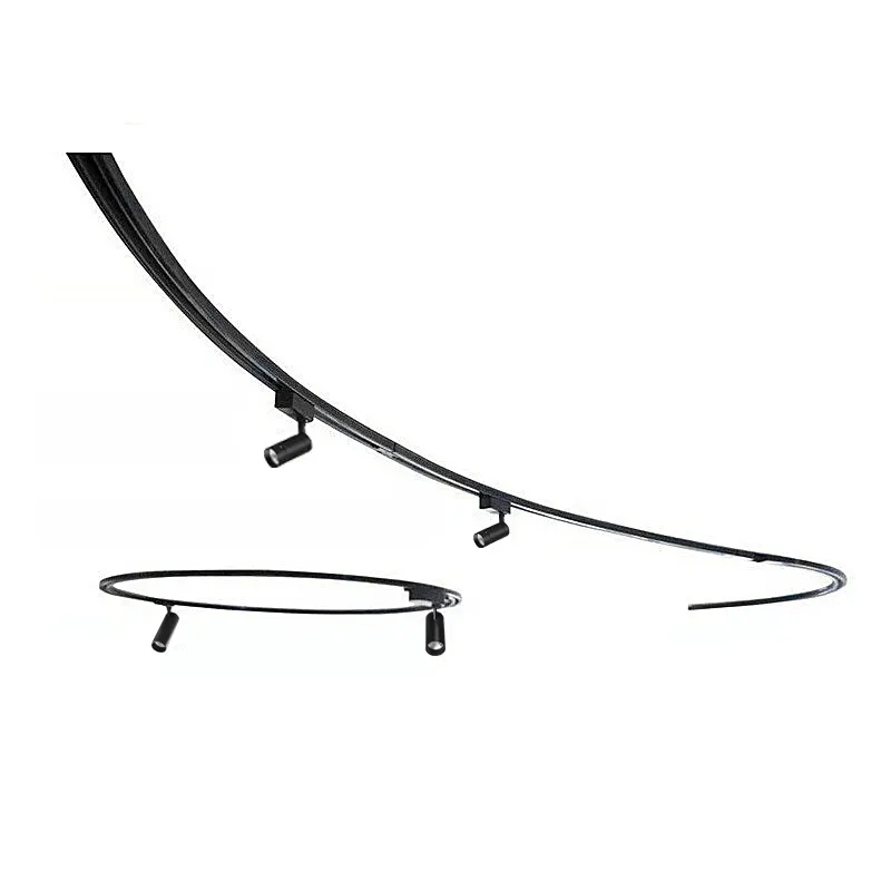 Aluminum Curved Lighting Track Rail 2/3/4-Wire