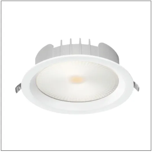 Slim Tuya Zigbee Dimmable LED Downlight 12/24W IP44