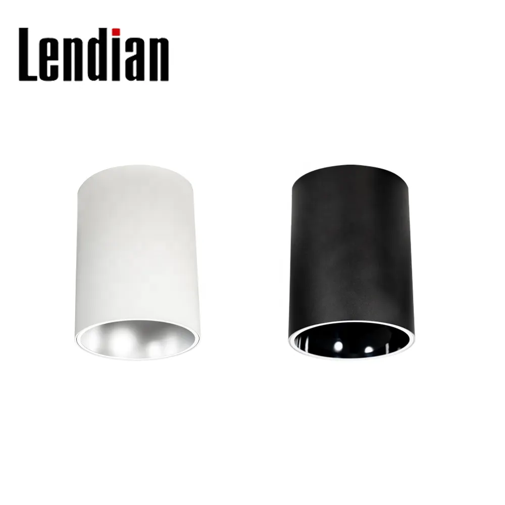 Surface-Mounted Aluminum LED Downlight 8-45W IP65