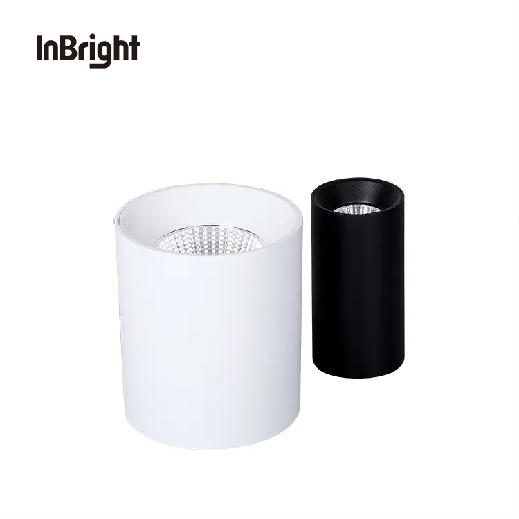 Dimmable Surface-Mounted Aluminum COB LED Downlight 10-60W