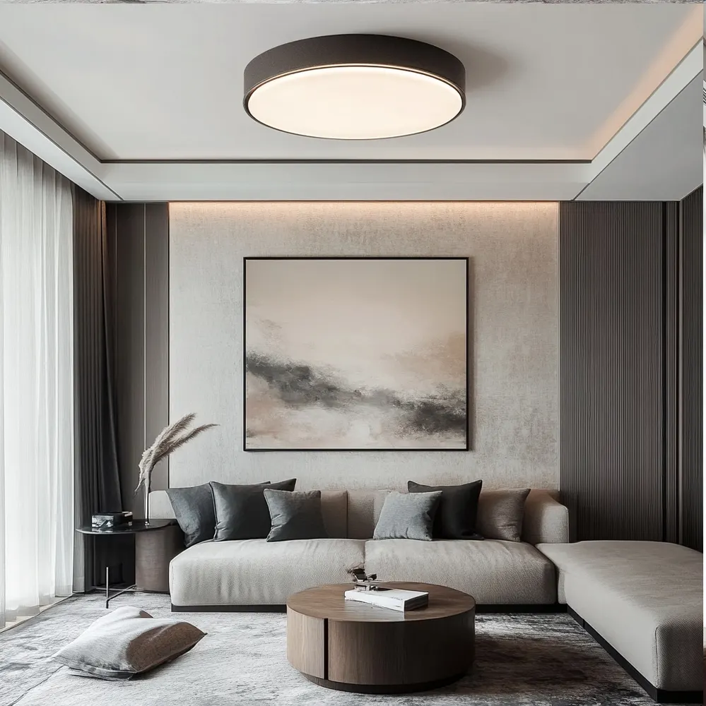 Surface-Mounted Aluminum LED Ceiling Light 24-100W