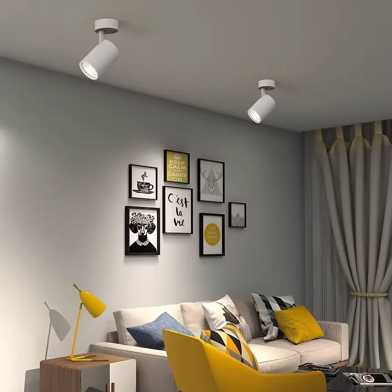 Surface-Mounted Aluminum LED Downlight 7-29W