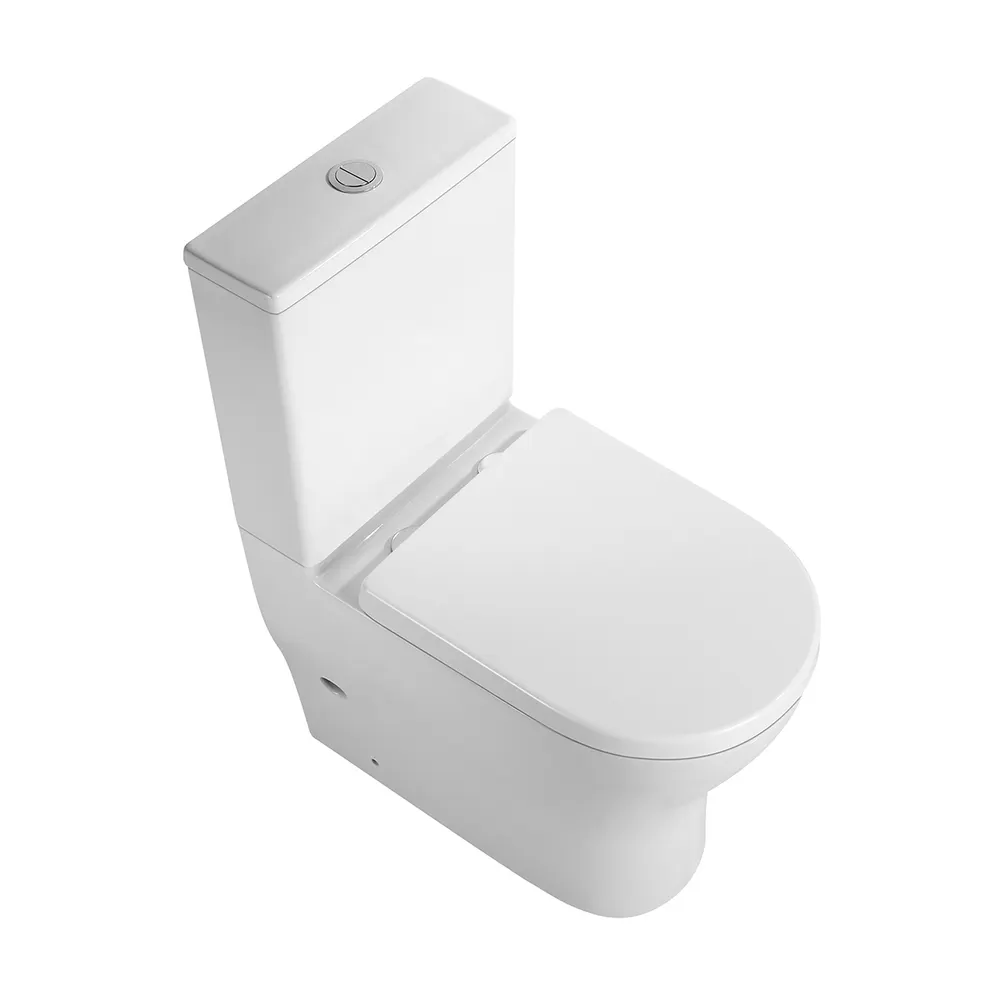 Dual-Flush Two-Piece Ceramic Toilet