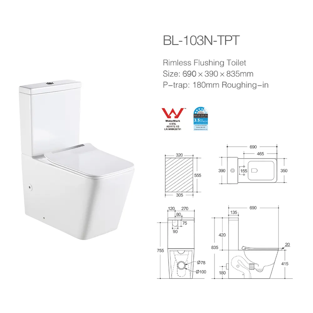Two-Piece Dual-Flush Ceramic Toilet