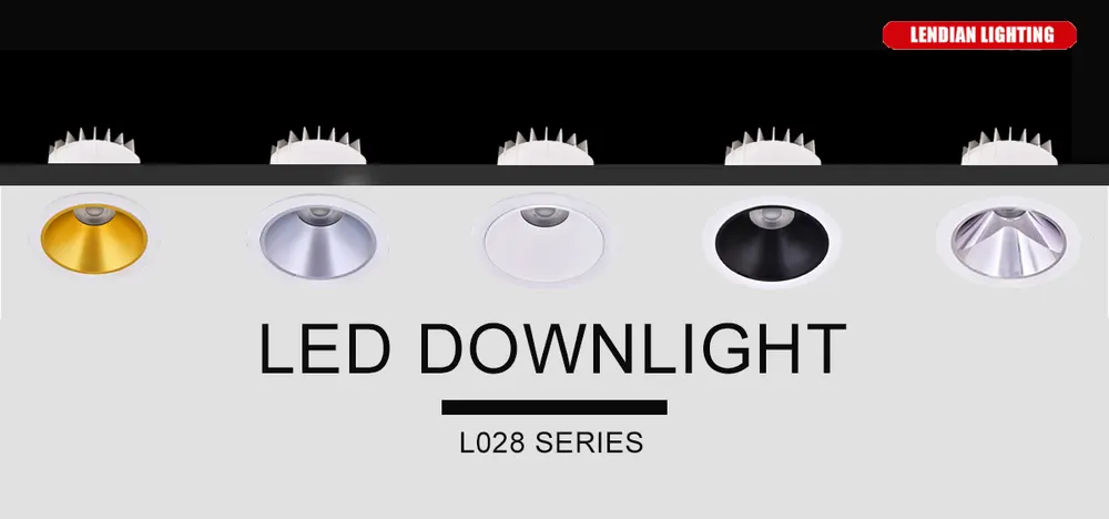 Recessed Aluminum LED Downlight Black 10-40W IP65