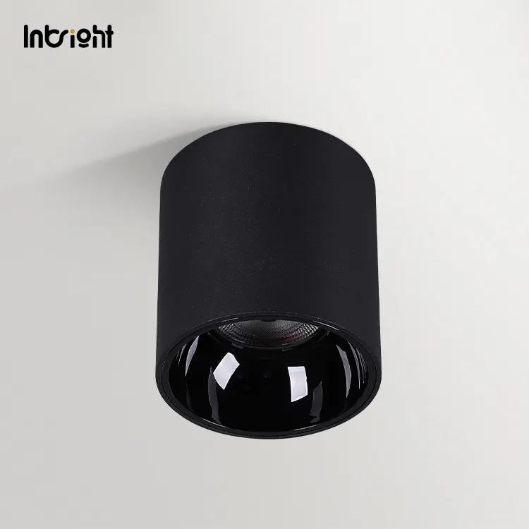 Surface-Mounted Aluminum LED Downlight 10-50W IP65