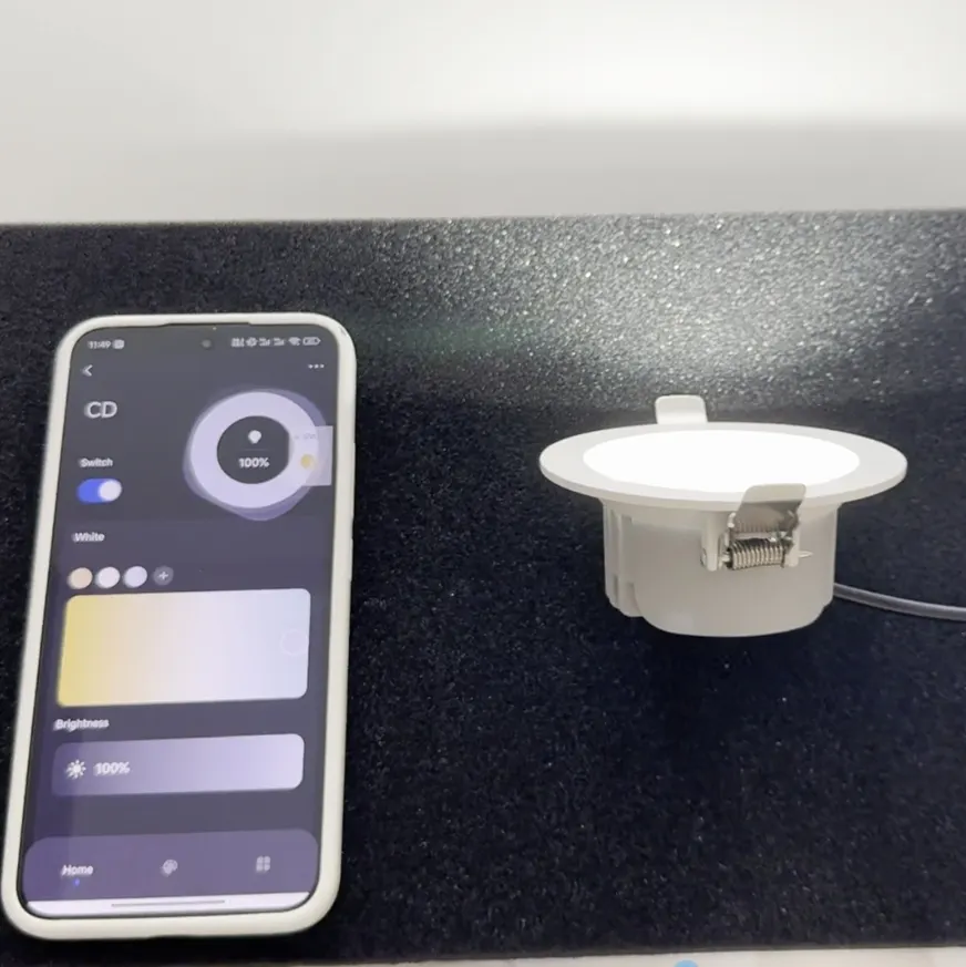 Adjustable Slim Tuya Smart LED Downlight 8-40W product sample