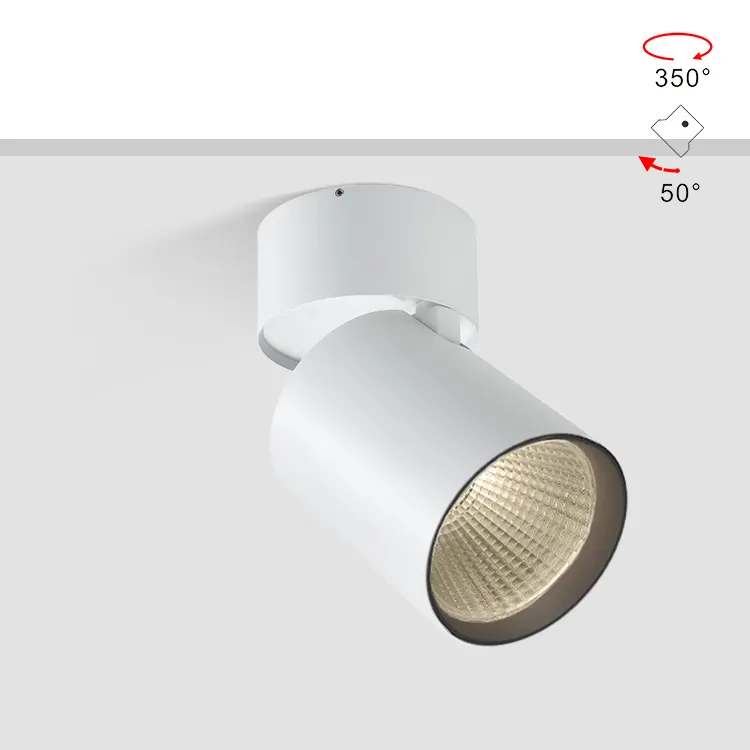 Adjustable Dimmable Surface-Mounted LED Downlight 15/25W product sample