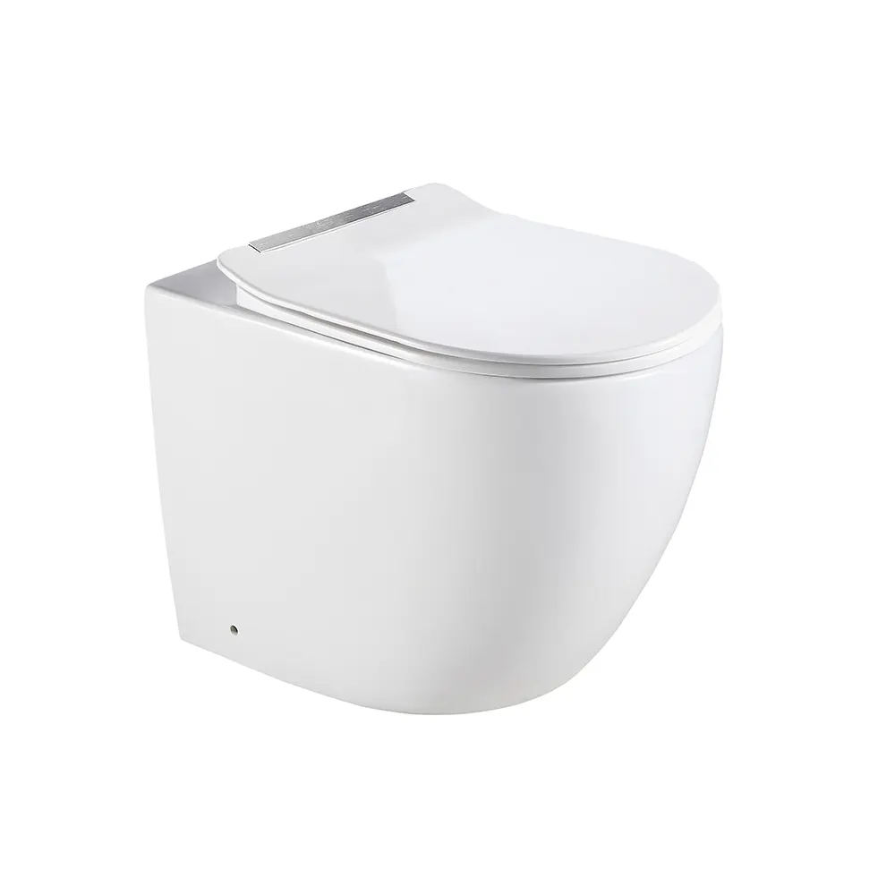 Dual-Flush Two-Piece Ceramic Toilet