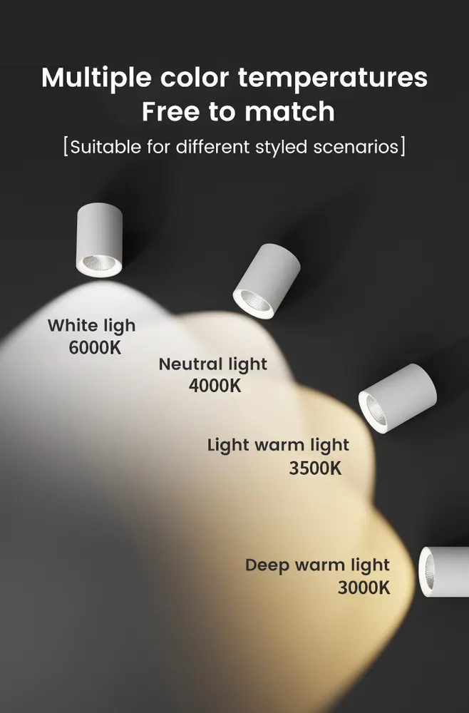 Surface-Mounted Aluminum LED Downlight 12-40W