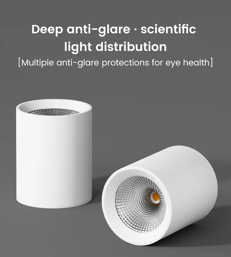 Surface-Mounted Aluminum LED Downlight 12-40W