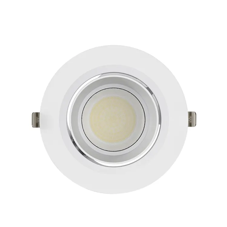 Rotatable Recessed Aluminum LED Downlight 20-60W
