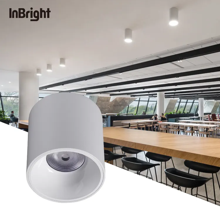 Surface-Mounted Aluminum COB LED Downlight 10-50W IP65