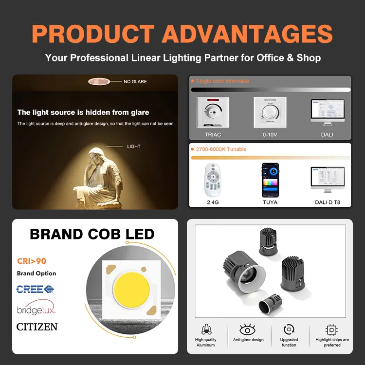 Adjustable Recessed Aluminum COB LED Downlight 20-80W 2700K/3000K/3500K product sample