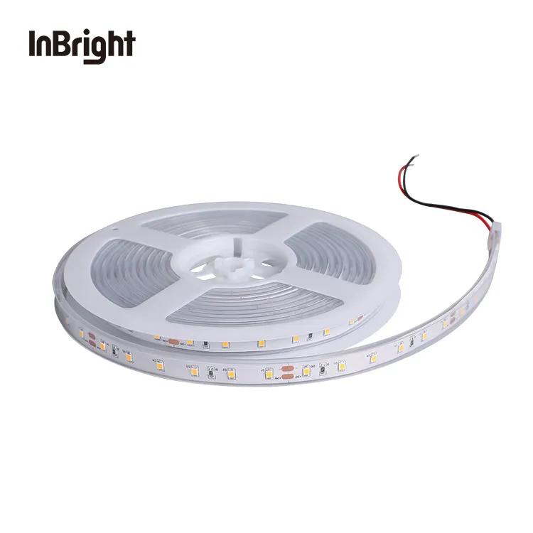 Flexible SMD2835 LED Strip Light 12V/24V IP20/IP65/IP67